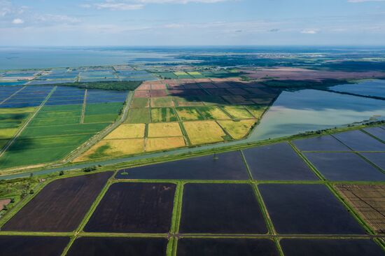 Russia Agriculture Rice