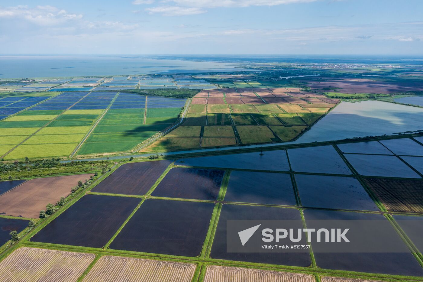 Russia Agriculture Rice