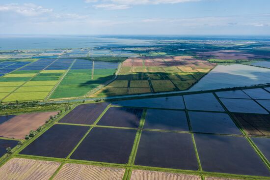 Russia Agriculture Rice