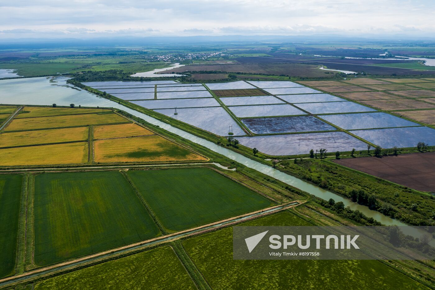 Russia Agriculture Rice