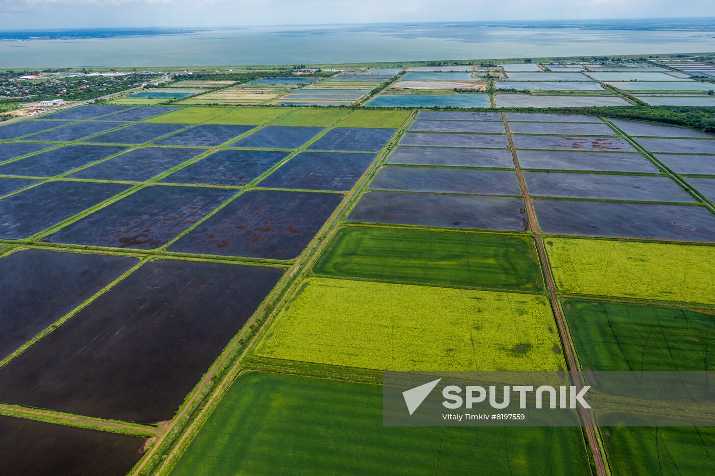 Russia Agriculture Rice