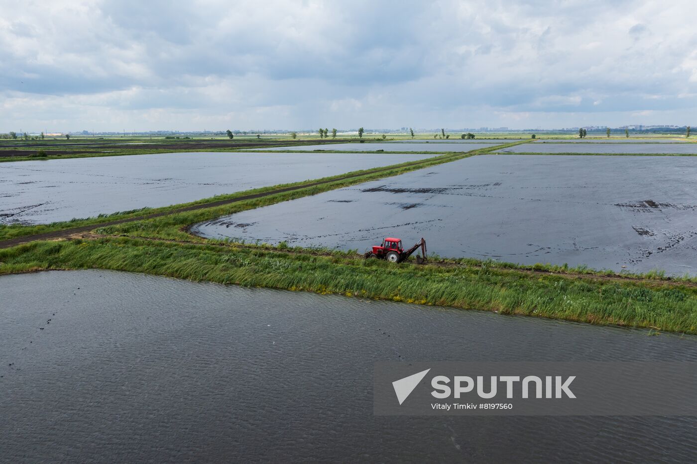 Russia Agriculture Rice