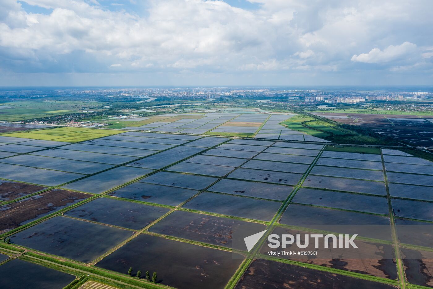 Russia Agriculture Rice
