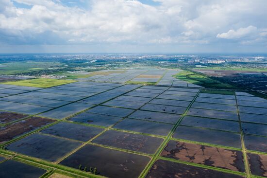 Russia Agriculture Rice
