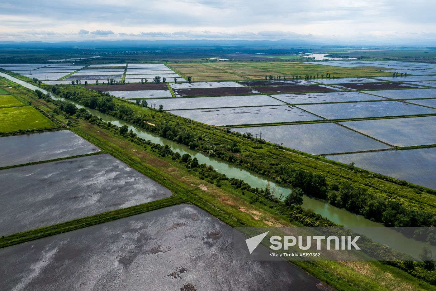 Russia Agriculture Rice