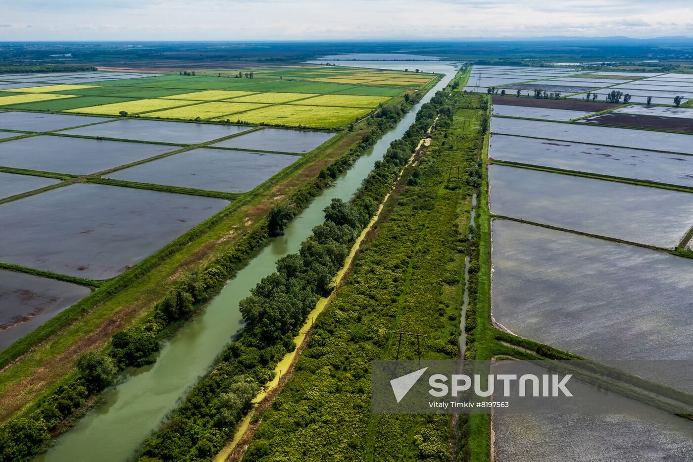 Russia Agriculture Rice