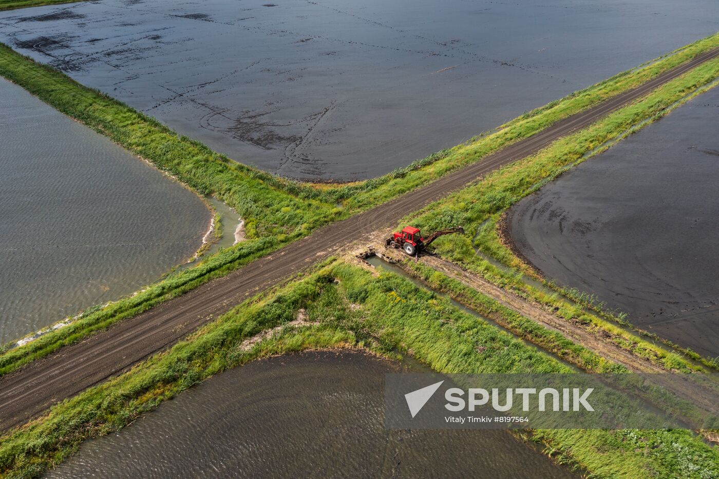 Russia Agriculture Rice