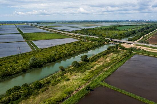 Russia Agriculture Rice