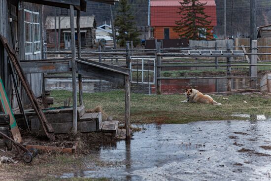 Russia Flood