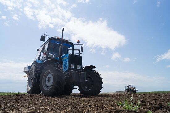 Ukraine Agriculture
