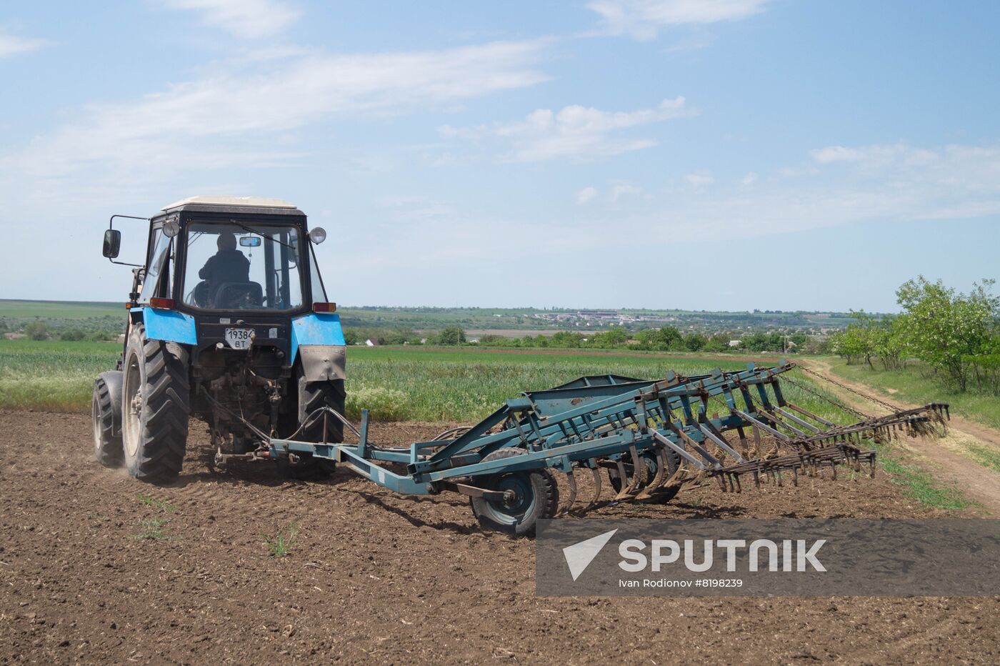 Ukraine Agriculture