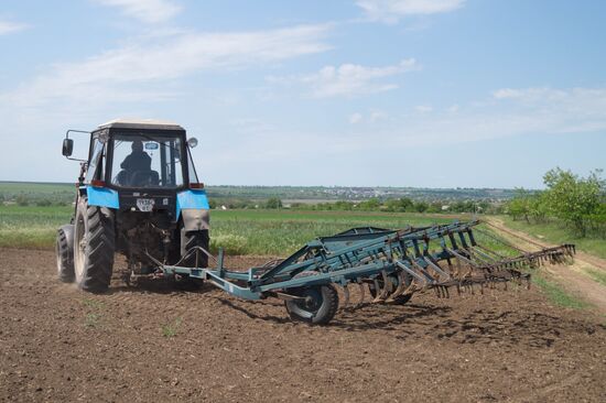 Ukraine Agriculture