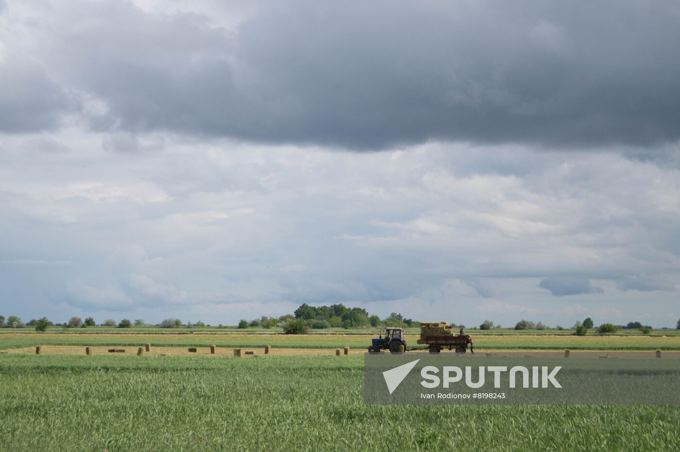 Ukraine Agriculture