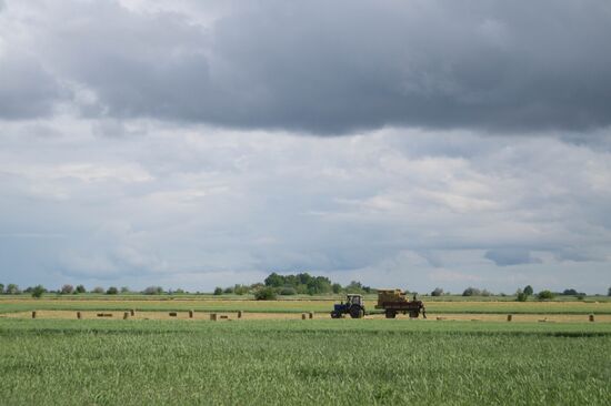 Ukraine Agriculture