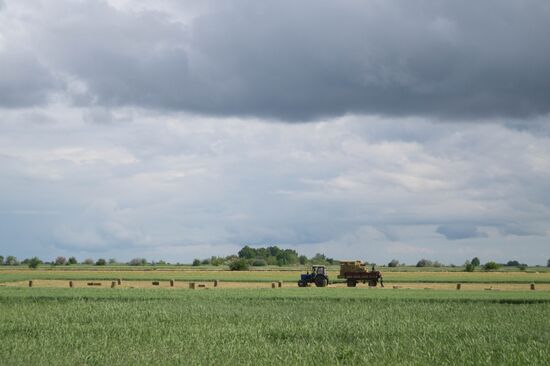 Ukraine Agriculture