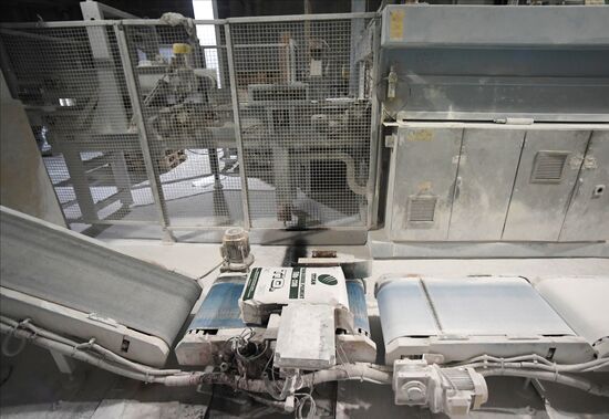 Russia Crimean Titan Plant Reopening