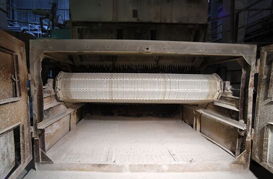 Russia Crimean Titan Plant Reopening