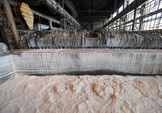 Russia Crimean Titan Plant Reopening