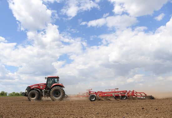 Ukraine Agriculture