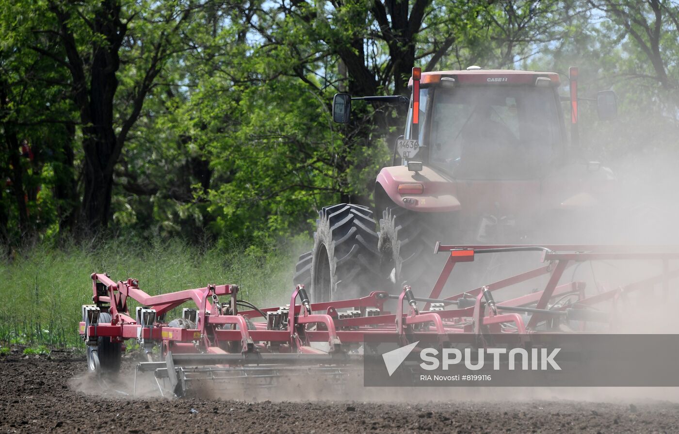 Ukraine Agriculture