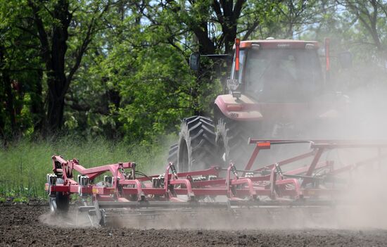 Ukraine Agriculture
