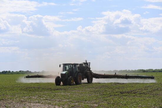 Ukraine Agriculture