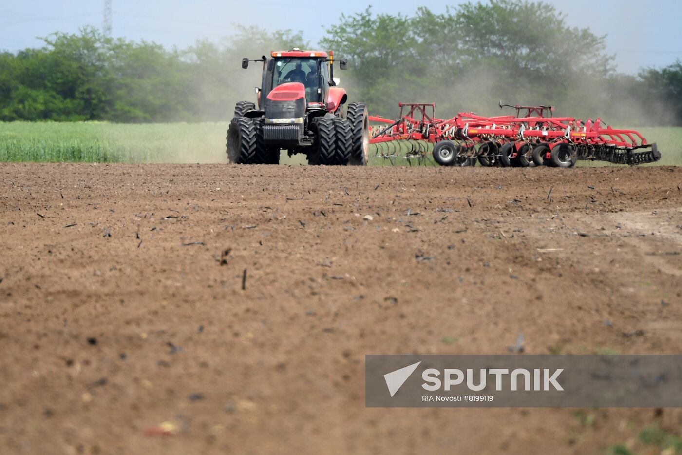 Ukraine Agriculture