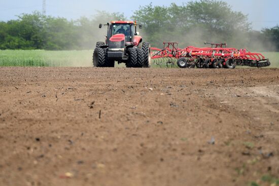 Ukraine Agriculture