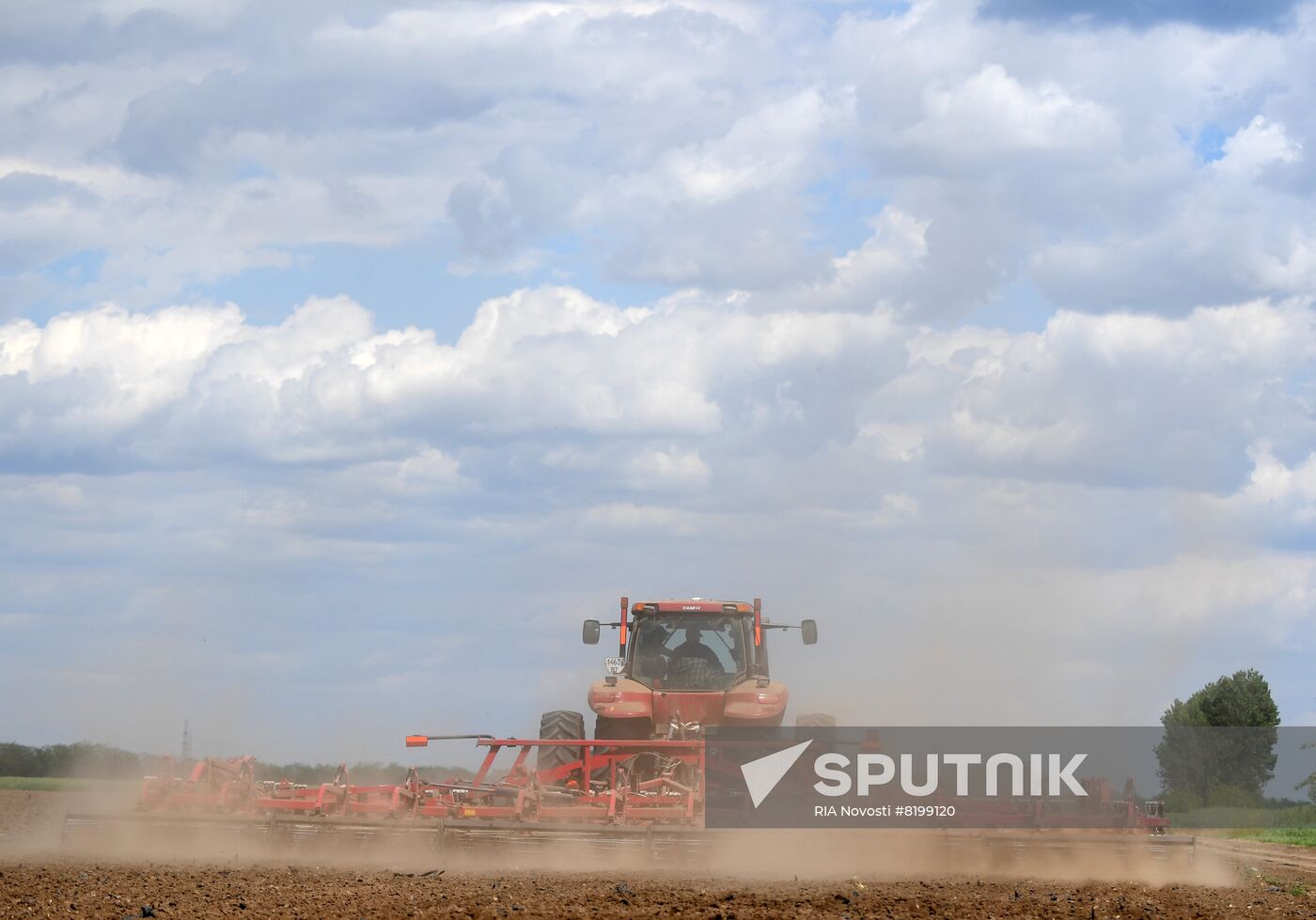 Ukraine Agriculture