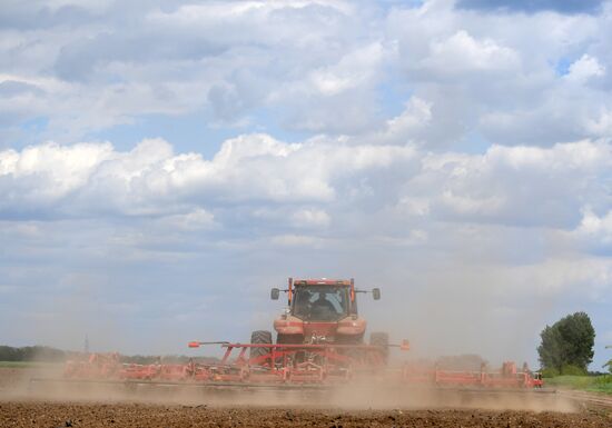 Ukraine Agriculture