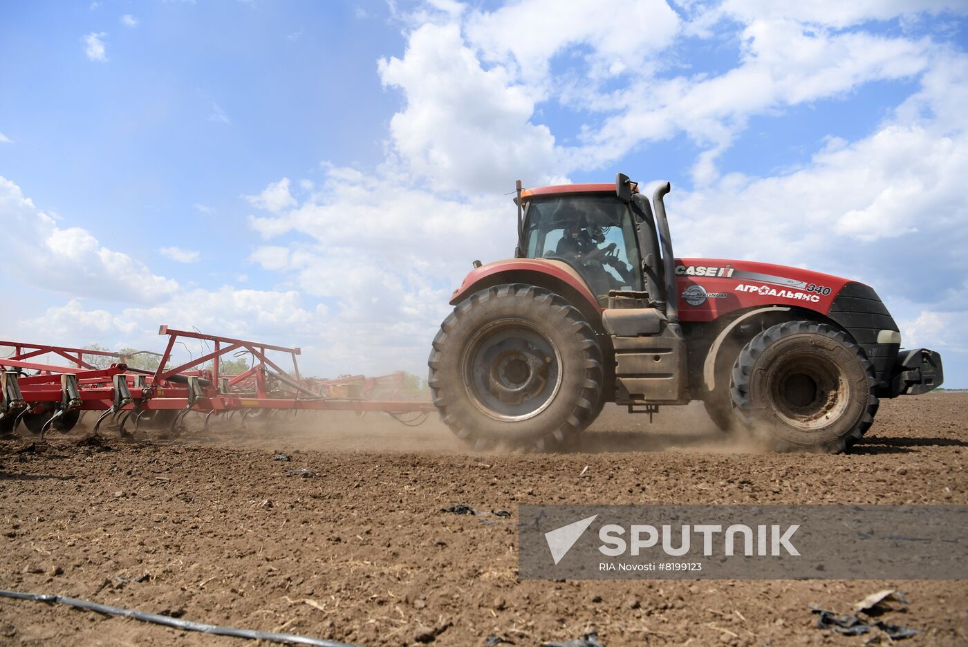 Ukraine Agriculture