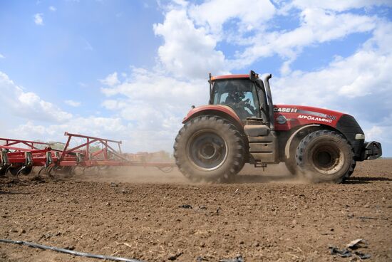 Ukraine Agriculture
