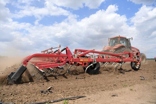 Ukraine Agriculture