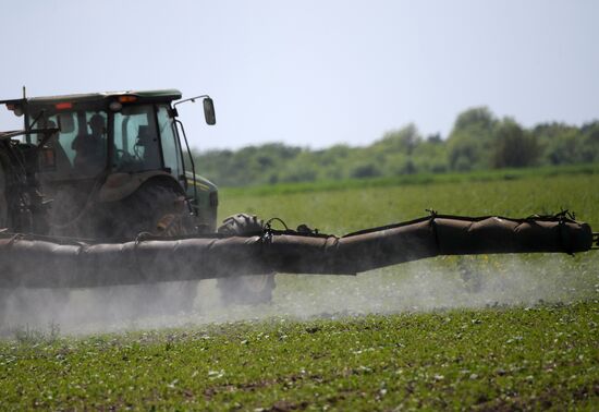 Ukraine Agriculture