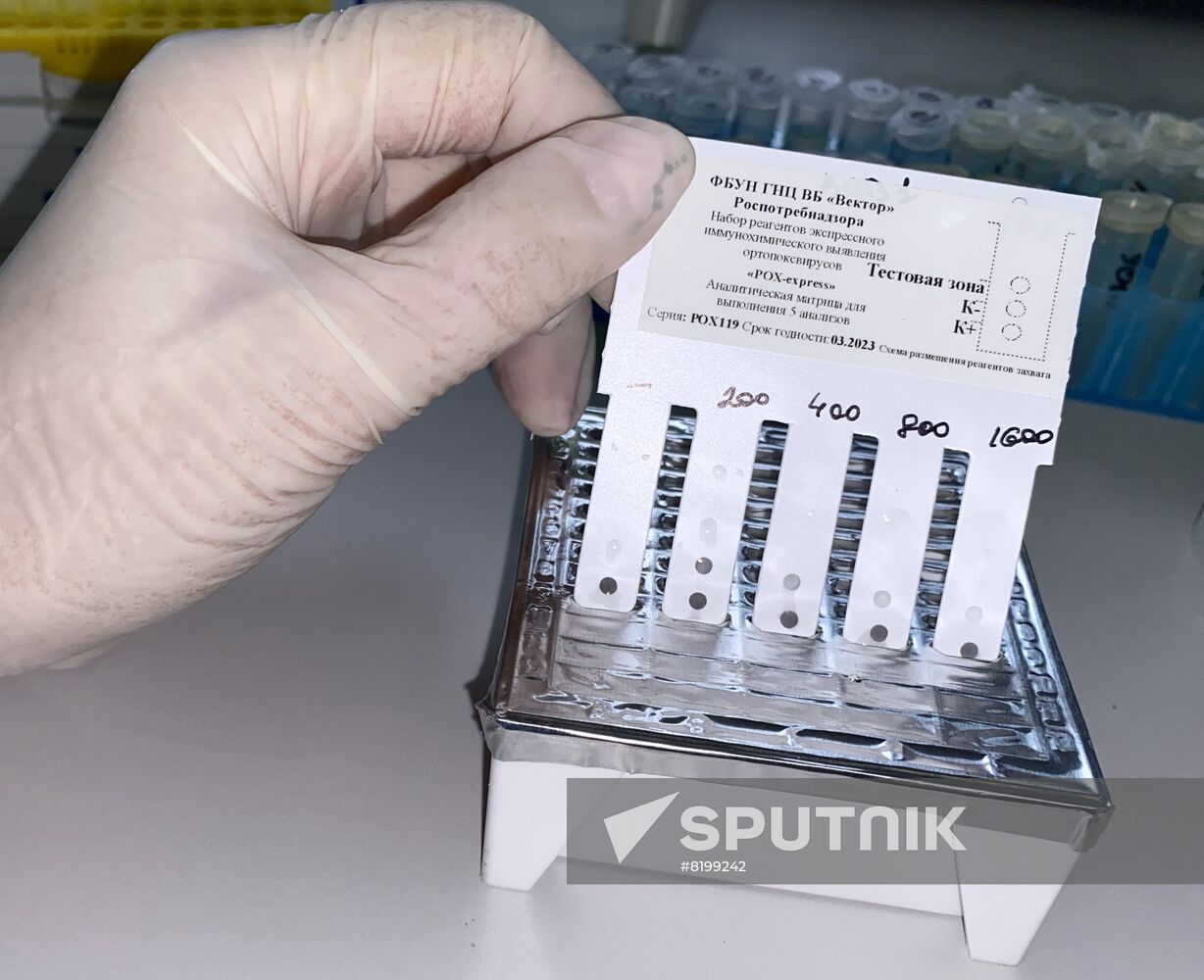 Russia Monkeypox Testing Kit