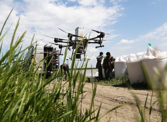 Russia Agriculture Rice Sowing