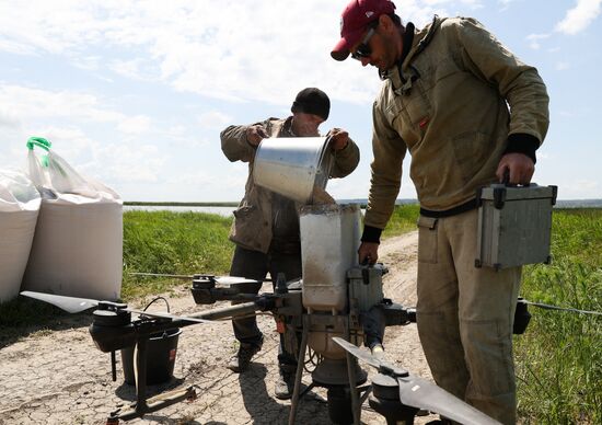 Russia Agriculture Rice Sowing
