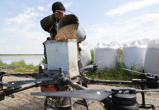Russia Agriculture Rice Sowing