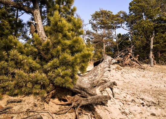 Russia Tourism Buryatia