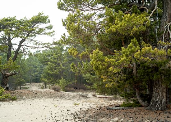 Russia Tourism Buryatia