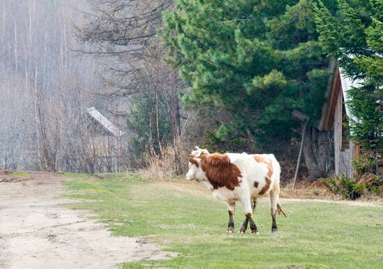 Russia Tourism Buryatia