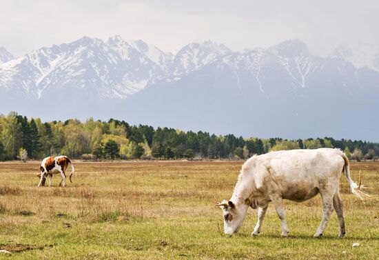 Russia Tourism Buryatia