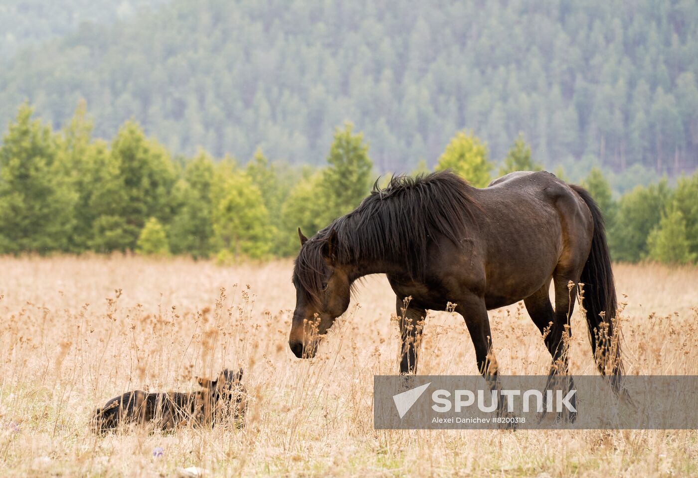 Russia Tourism Buryatia