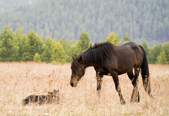 Russia Tourism Buryatia