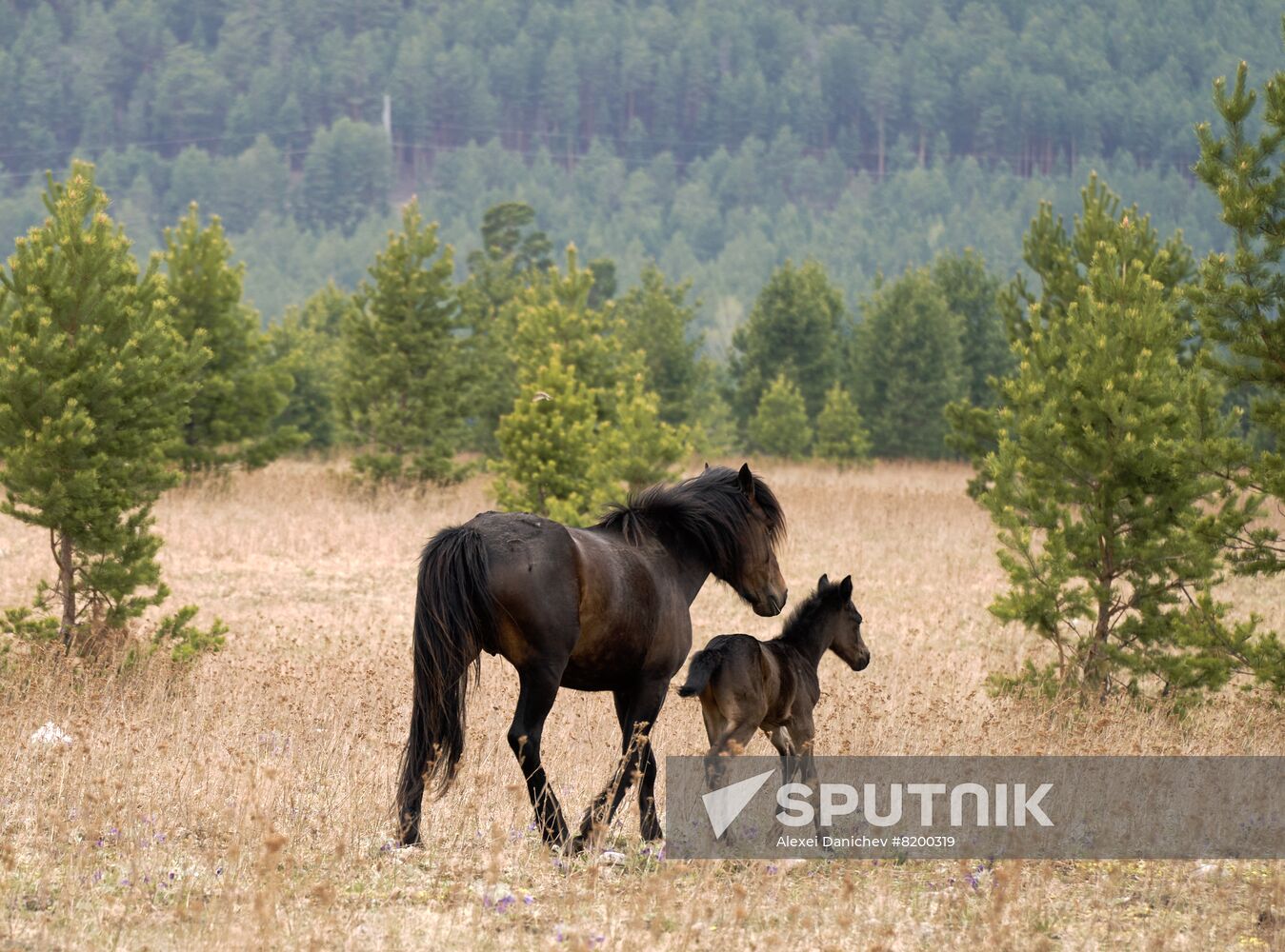 Russia Tourism Buryatia