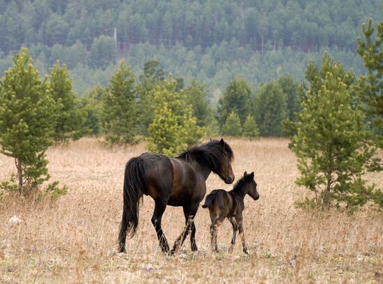 Russia Tourism Buryatia