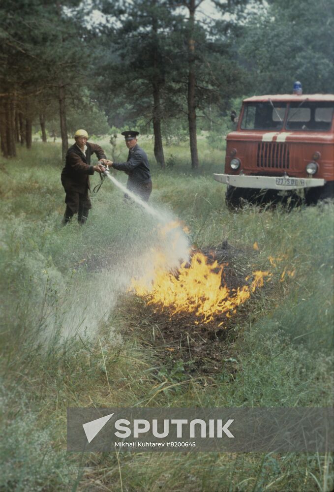 Bobrovsky Experimental Forestry Enterprise in Voronezh Region