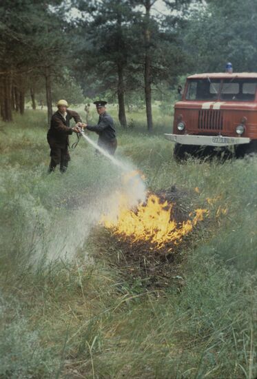 Bobrovsky Experimental Forestry Enterprise in Voronezh Region