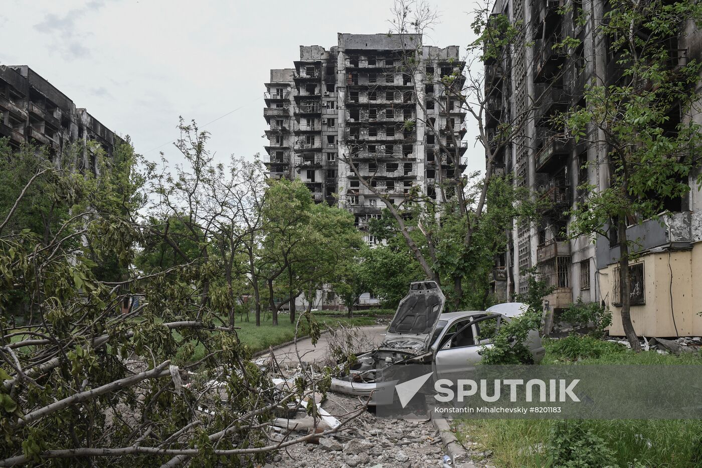 DPR Daily Life