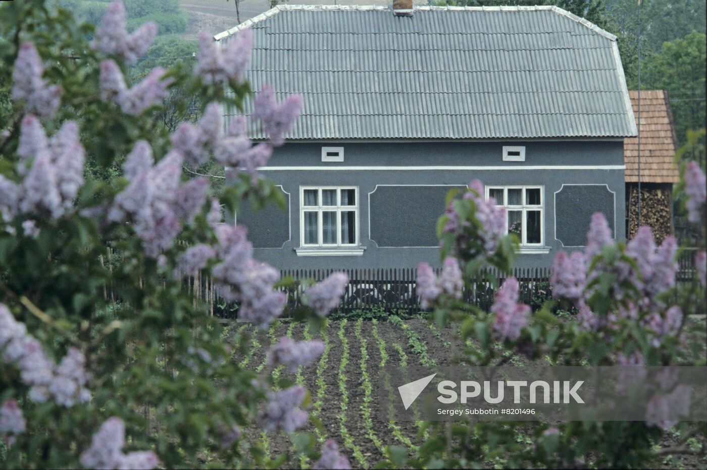 Krukenichsky State Farm